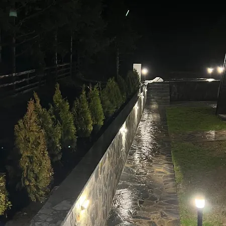 One & Only - Peace For You, * ズラティボール