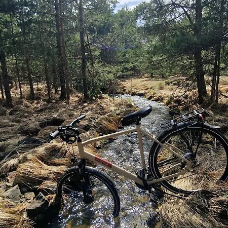 Nyaraló One & Only - Peace For You, *